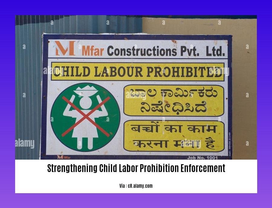 Strengthening Child Labor Prohibition Enforcement: Protecting the ...