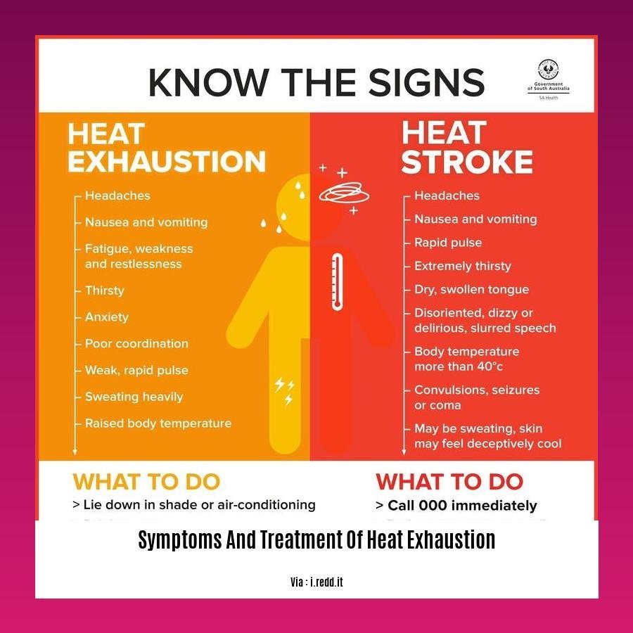 Symptoms and Treatment of Heat Exhaustion: A Guide for Recognizing and ...