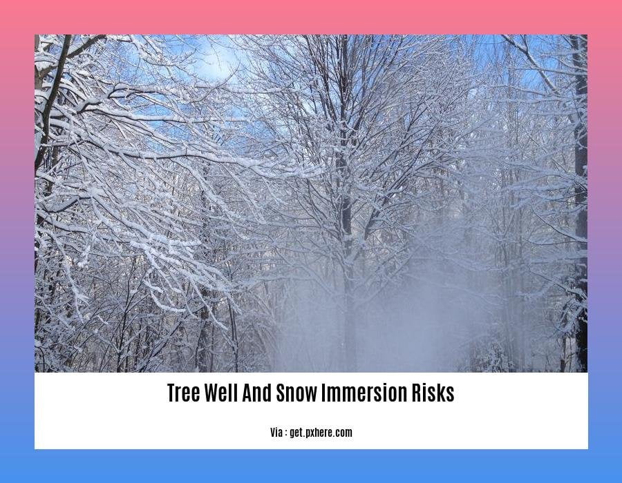 Tree Well and Snow Immersion Risks: A Guide to Hidden Hazards in Snowy ...