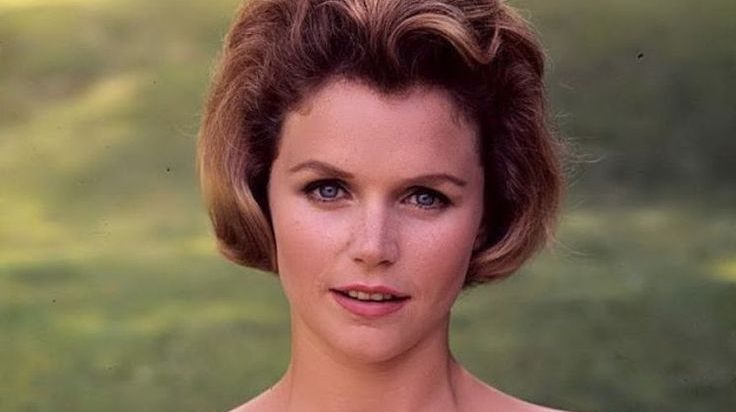 Unveiling the Estate of a Hollywood Icon: Lee Remick's Net Worth - BT ...